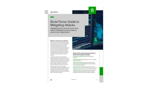 Brute Force: Guida agli attacchi attenuanti