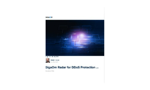 Radar gigaom per protezione DDOS