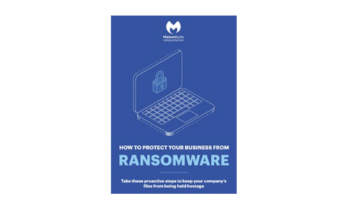 Come proteggere la tua attività da ransomware